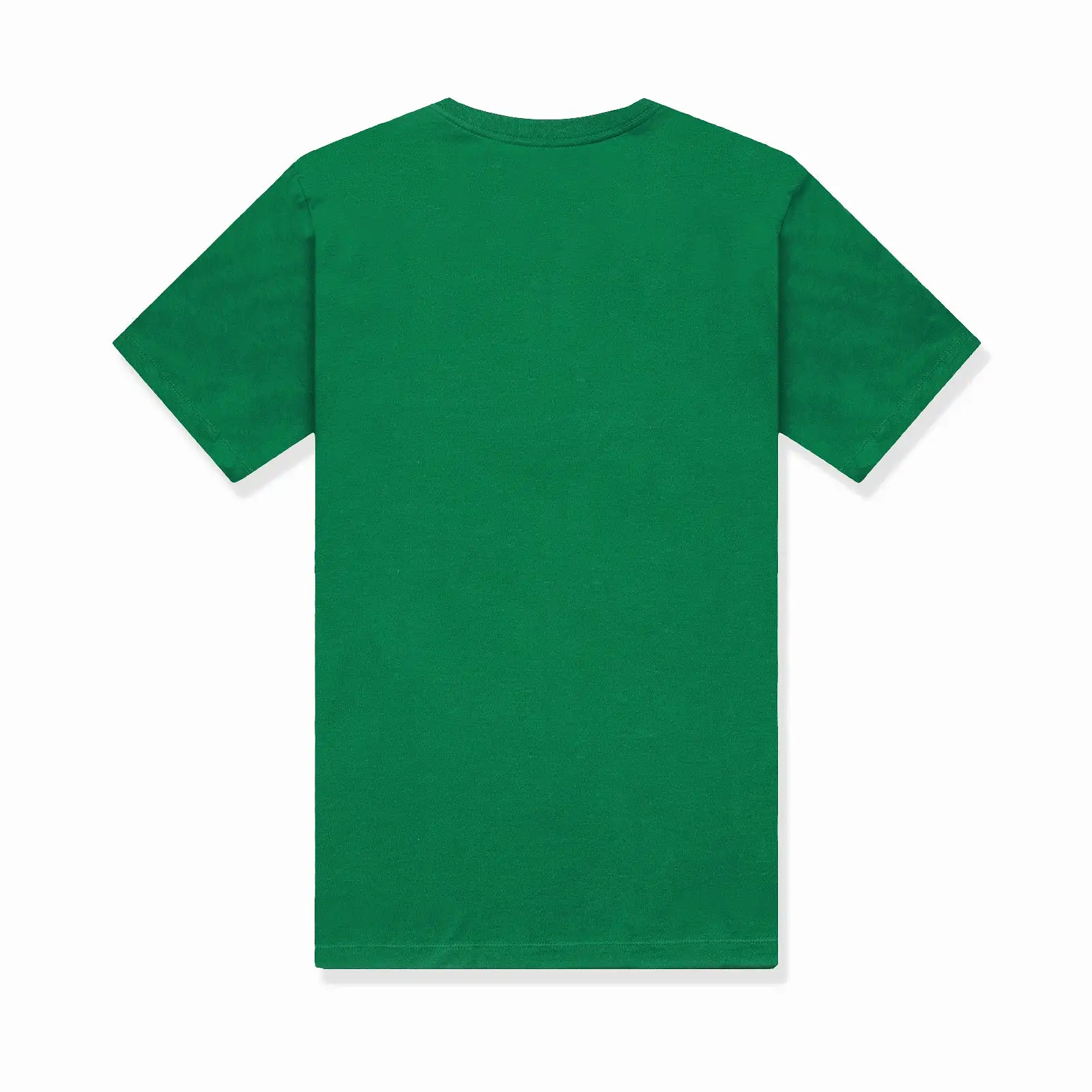 Boston Celtics Icon NBA Logo T-Shirt - Green