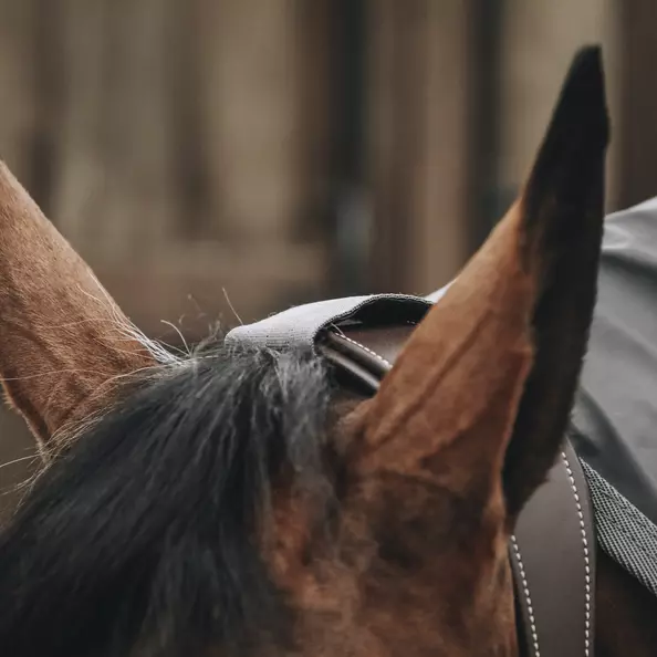 Kentucky Horsewear Horse Rain Coat