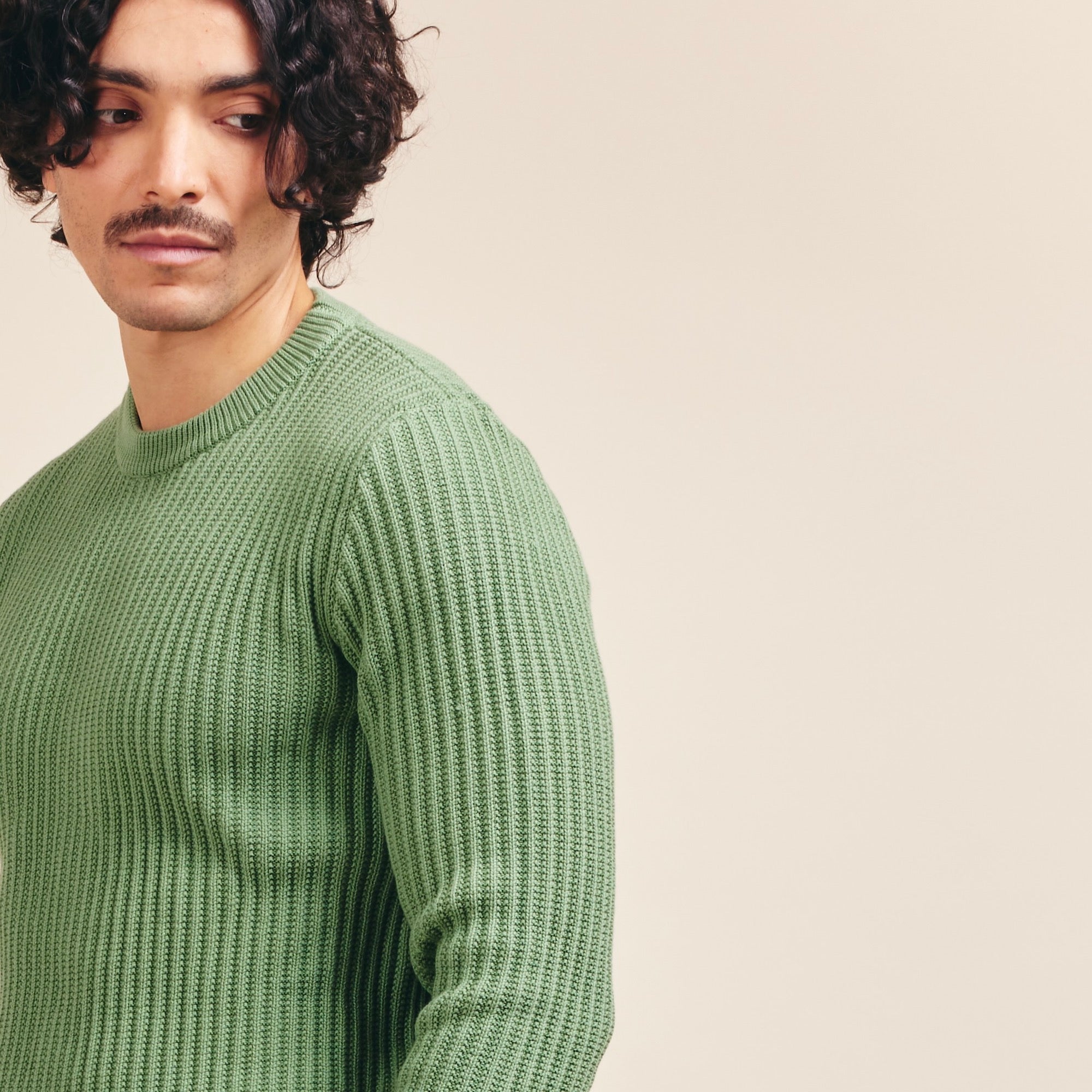 Le Pull 100% Coton Bio Zelarino