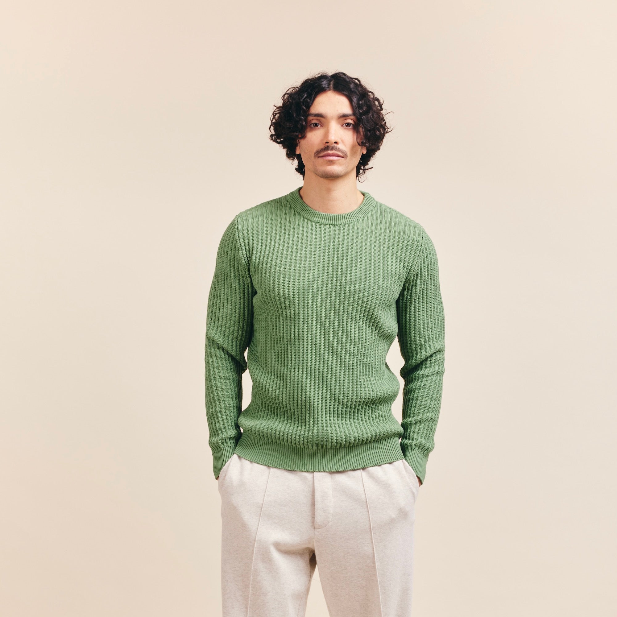 Le Pull 100% Coton Bio Zelarino