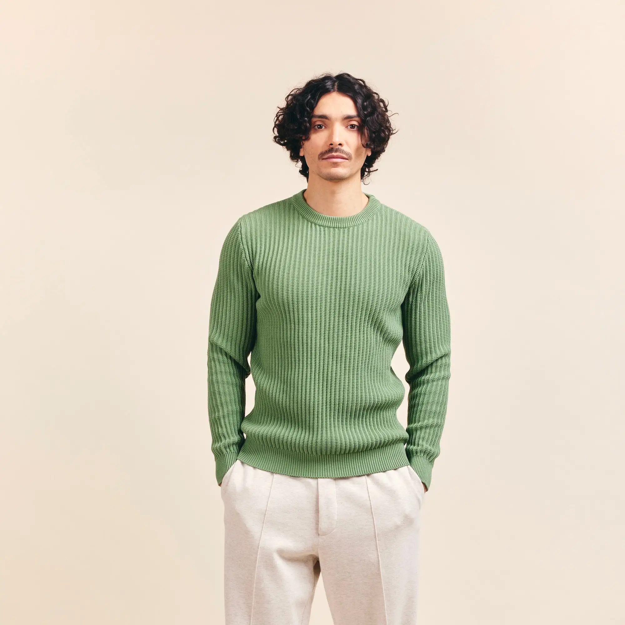 Le Pull 100% Coton Bio Zelarino